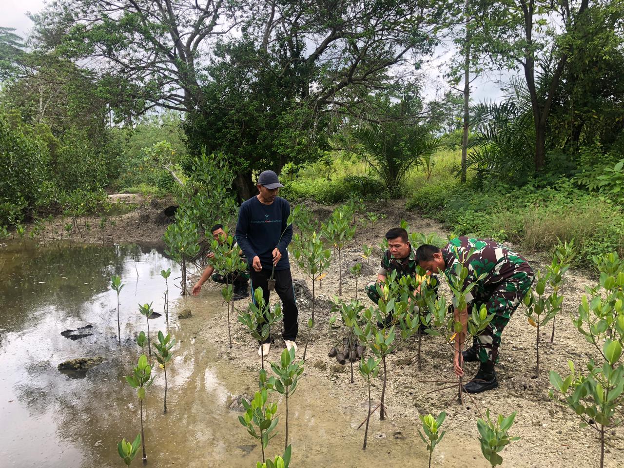 Peduli Lingkungan, Kodim 0421/Ls Gelar Program Penanaman Mangrove