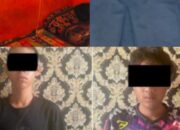 Polres Lampung Barat Berhasil Mengungkap Kasus Pencabulan Anak Dibawah Umur