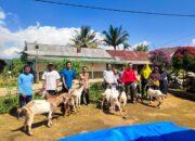 Pekon Tambak Jaya Merealisasikan Program Ketahanan Pangan Berupa Kambing Melalui Dana Desa 2024