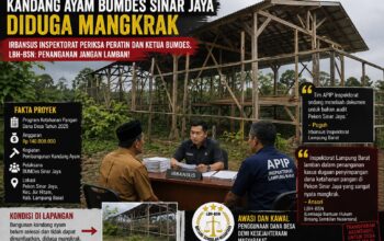 6 Bulan Jadi Sorotan, Inspektorat Akhirnya Periksa Pekon Sinar Jaya, LBH-BSN: Jangan Berlarut