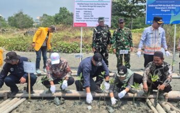 PHE OSES Perkuat Kolaborasi Pelestarian Ekosistem Mangrove Pesisir Lampung Timur