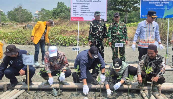 PHE OSES Perkuat Kolaborasi Pelestarian Ekosistem Mangrove Pesisir Lampung Timur